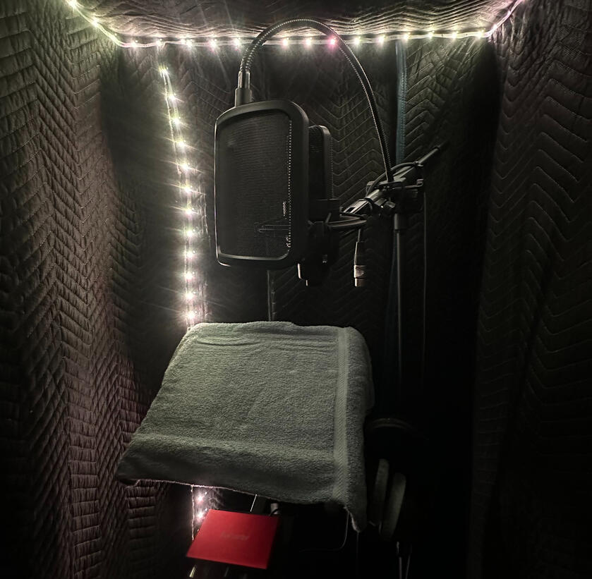 I'm Noelle Salisbury, a Voice Actor providing Voiceover for every genre and business need. This is my homepage!